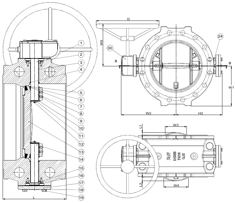 AVK VAN BƯỚM LỆCH TÂM KÉP, PN10/16