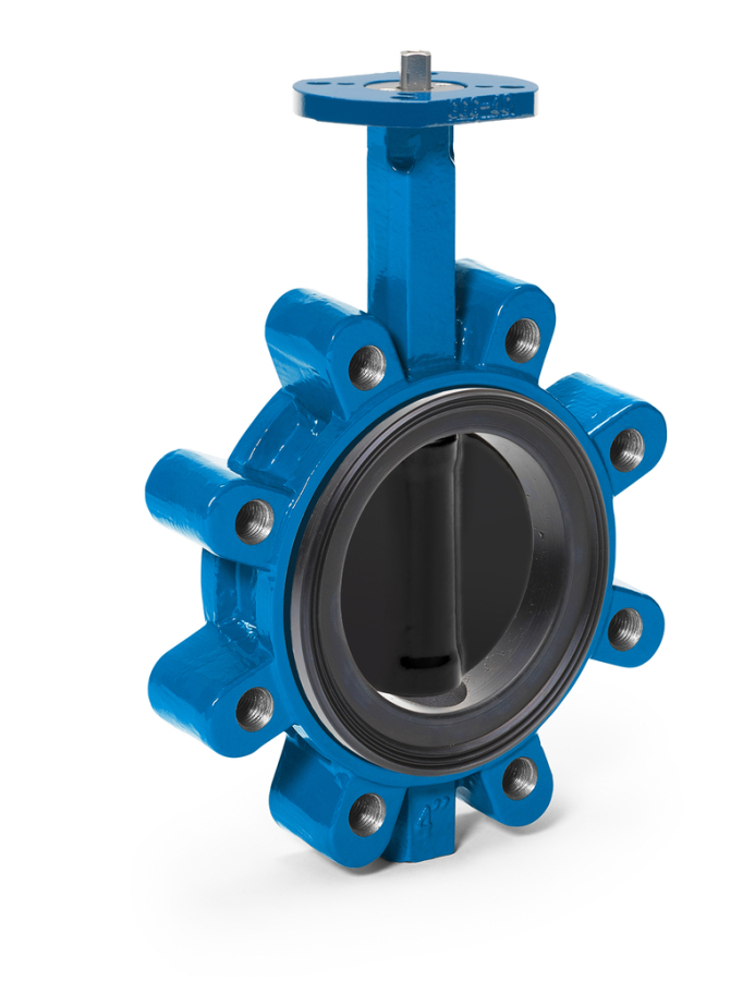 820_10_032_AVK_Lug_Rilsan coated disc