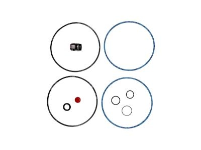 Kit, Shaft Seal BUBV - CRN 8/16 - 425063